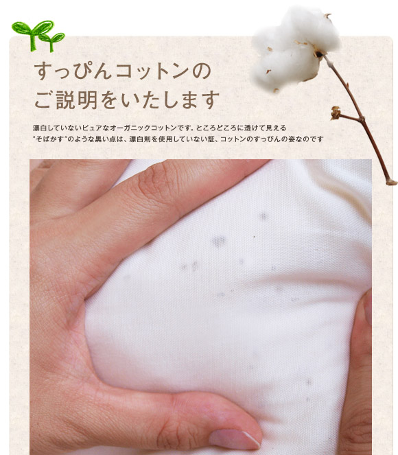 オーガニックコットン