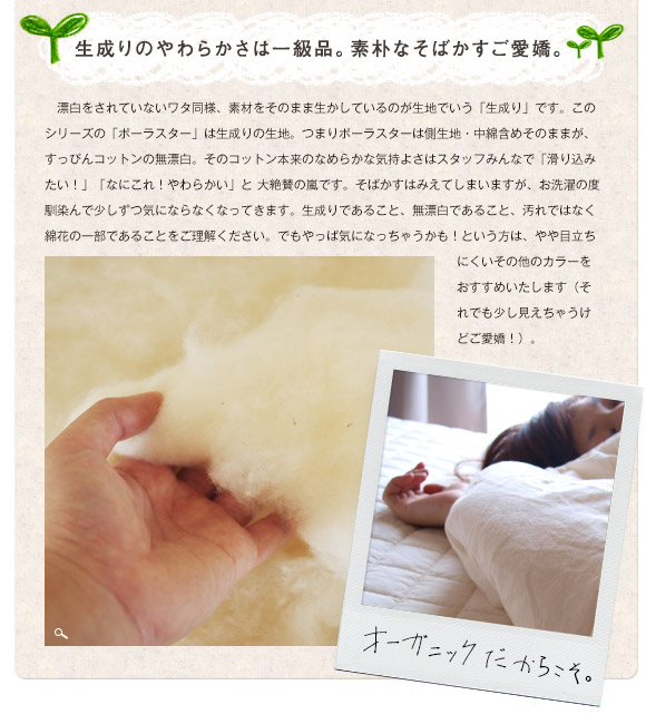 オーガニックコットン